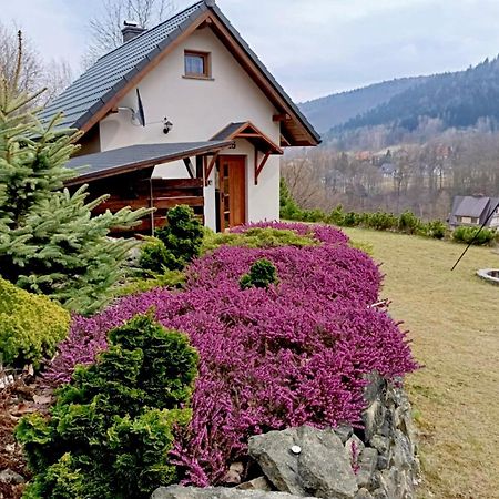Вілла Hoya Hoya Мендзибродзе-Бяльське Екстер'єр фото
