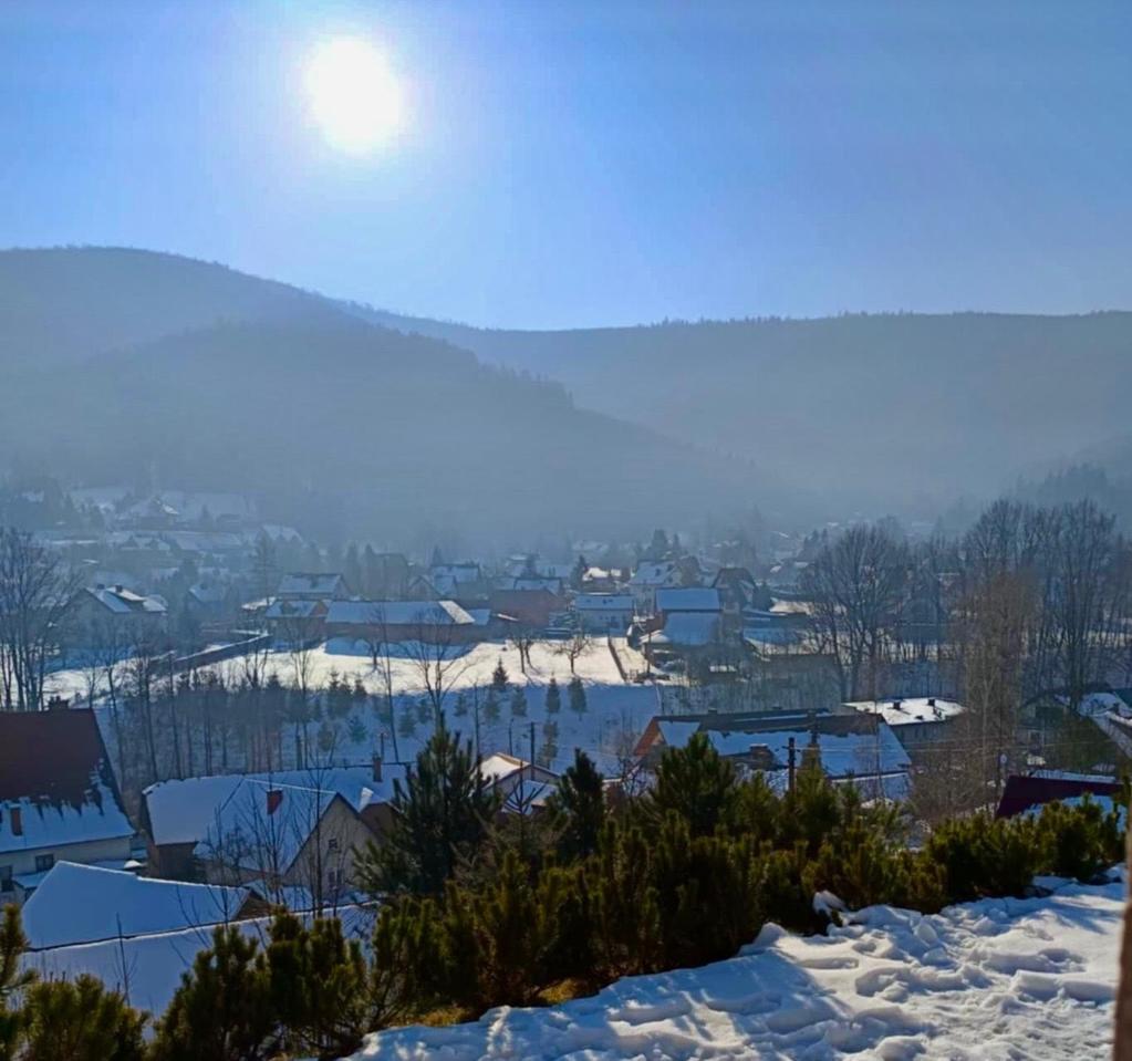 Вілла Hoya Hoya Мендзибродзе-Бяльське Екстер'єр фото